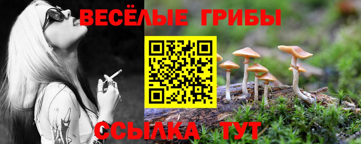 Верхняя Пышма  Галлюциногенные грибы мицелий  где найти   Вход с VPN 